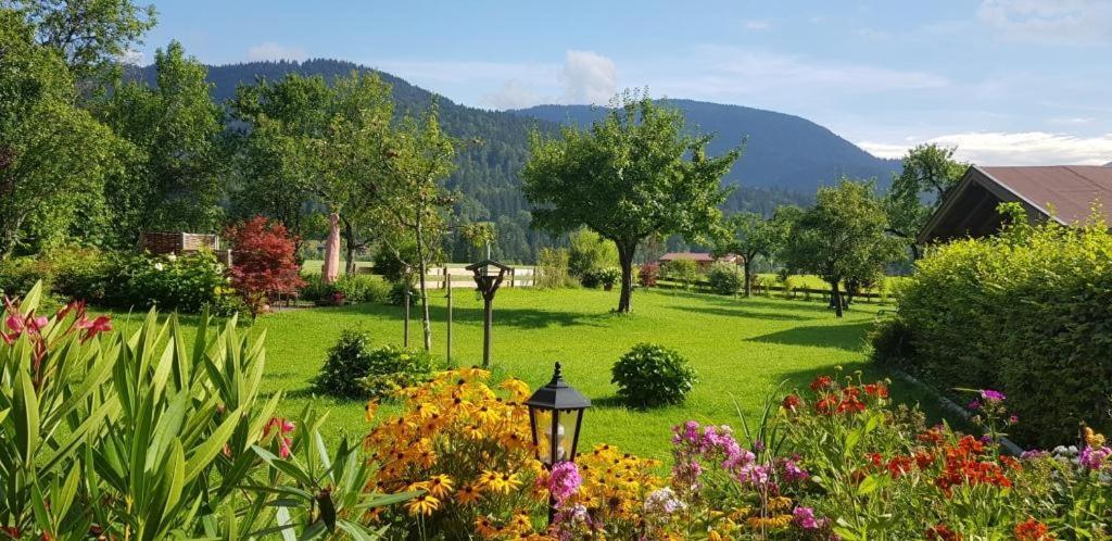 Appartement Haus Schmiederer à Reit im Winkl Extérieur photo